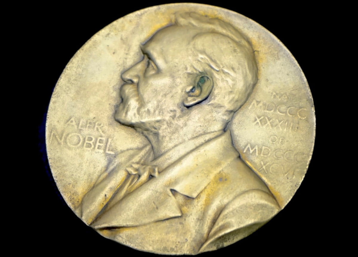 premio nobel medicina 2024