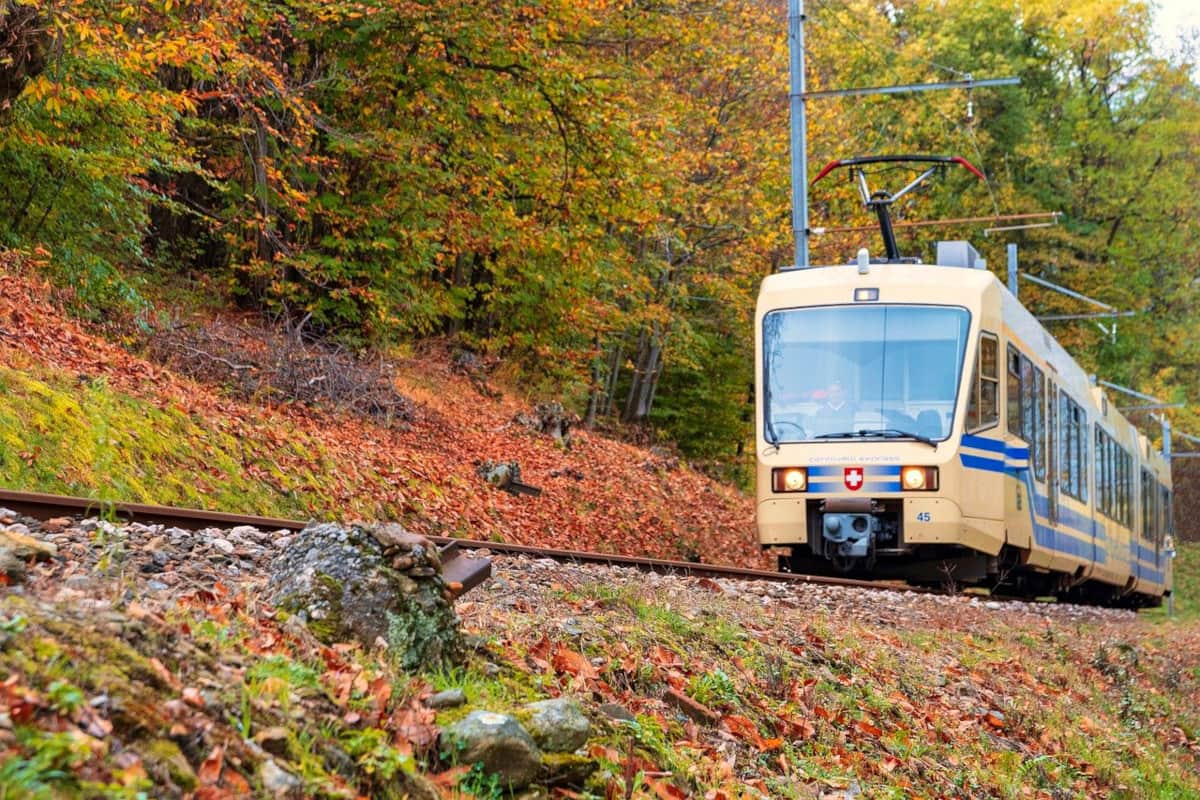 Il Treno del Foliage, lo spettacolo dell’autunno in Val Vigezzo