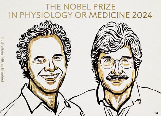 vincitori del nobel per la medicina del 2024